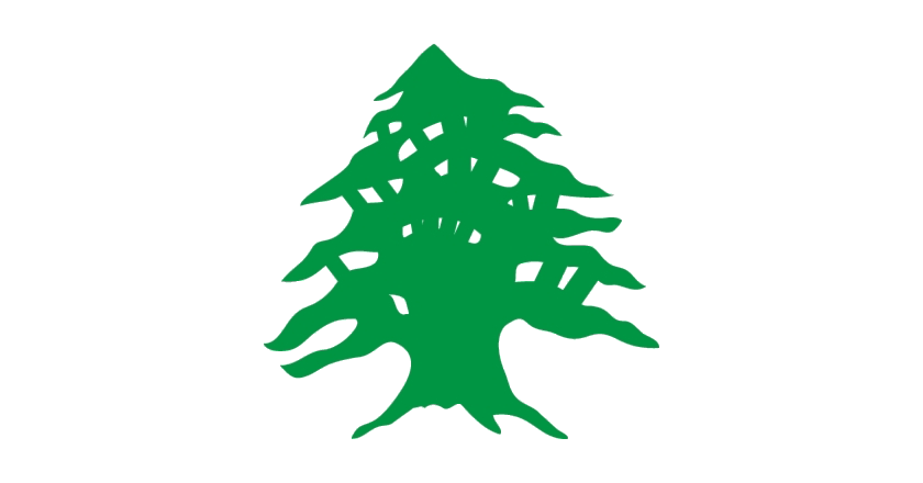 Lebanese Cedar